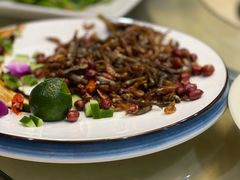 -墨脱石锅椰子鸡•香草鸭•东山羊(大东海店)