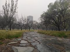 -莲花池公园