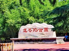 -莲花池公园