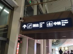 -青岛胶东国际机场