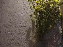 -茉莉花园咖啡(惠民路店)