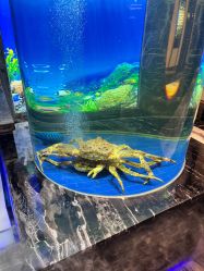 -宴宾楼·宴会厅(南开店)