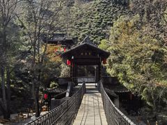 -石台牯牛降景区
