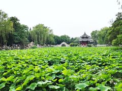 -莲池书院博物馆