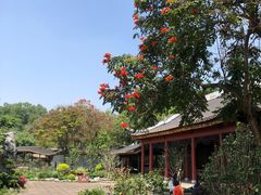 -顺峰山公园