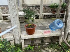 -淄博聊斋城景区