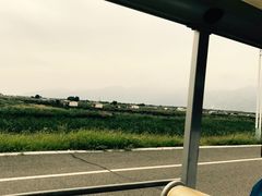 -哈素海