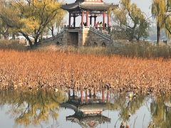 -颐和园