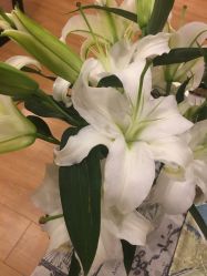 -FineYoga梵音瑜伽·普拉提