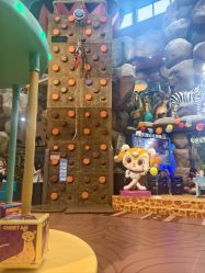 -卡通尼·Safari非洲探索乐园·生日会(金桥国际商业广场店)