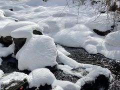 -少华山国家森林公园