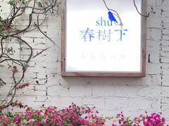 -春树下·树屋花房西餐厅(罍街AS1980店)