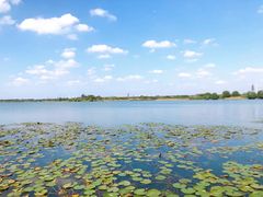 -贡湖湾湿地公园