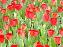 -玄武湖景区-情侣园游乐场