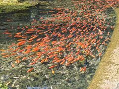 -水磨沟公园