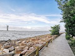 -上海吴淞炮台湾国家湿地公园