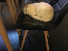 -Doors独立剧情密室(东门分店)