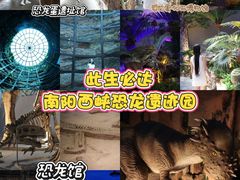 -中国西峡恐龙遗迹园