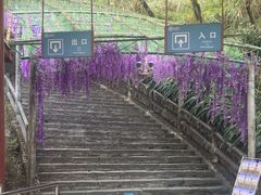 -玉石林风景区