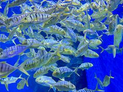 -成都浩海立方海洋公园