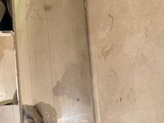 -济南喜来登酒店