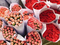 -三圣花乡旅游区