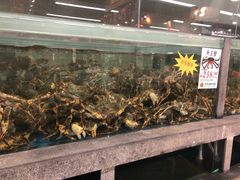 -宝燕海货工场(长江国际店)