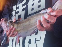 -老板恋上鱼(恒隆广场店)