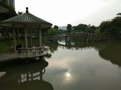 -三水森林公园