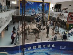 -中国地质大学逸夫博物馆