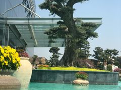 -南通洲际绿博园