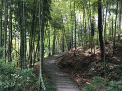 -藏龙百瀑风景区