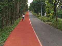 -上海长兴岛郊野公园