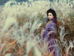 -盘龙城国家考古遗址公园