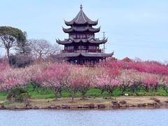 -上海海湾国家森林公园