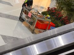 -中国人民武装警察部队特色医学中心