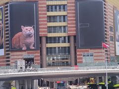 -东方明珠广播电视塔