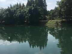 -贵阳市花溪国家城市湿地公园