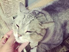 -小时光咖啡馆(开森度假森林店)