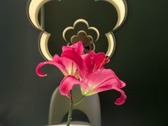 -潮上潮(南中环店)