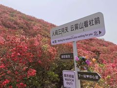 -木兰云雾山