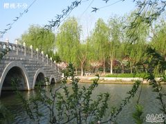 -南汇桃花村