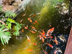 -聚缘堂·海鲜私房菜(松岭路店)