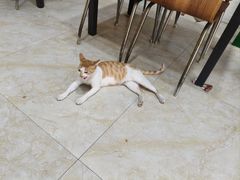 -东北烧烤(源通东路店)