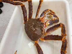 -红鼎豆捞·非遗鲍皇汤火锅(宝丰路店)