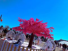 -绿野森林乐园冰雪季