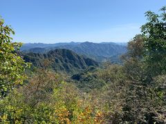 -大岭沟猕猴桃谷风景区