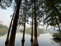 -重庆彩云湖湿地公园