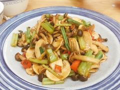 芹菜炒菇-金豆角砂锅焖面(安贞店)