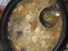 -蘑统田下·野生菌火锅